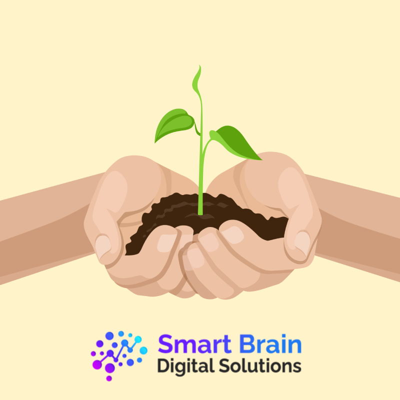 Smart Brain Digital Solutions